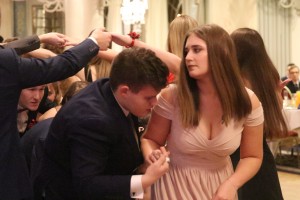 IMG 7206